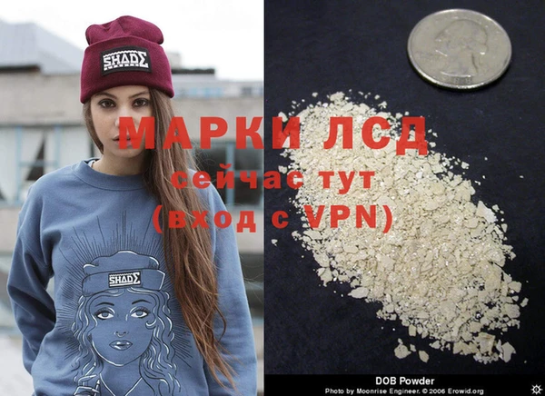 ГАЛЛЮЦИНОГЕННЫЕ ГРИБЫ Карталы