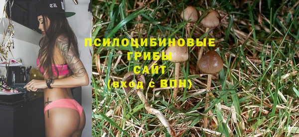 хмурый Киреевск