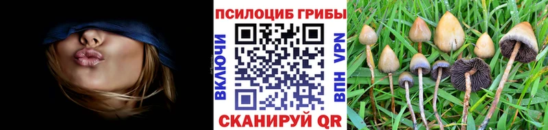 Галлюциногенные грибы прущие грибы  Карпинск 